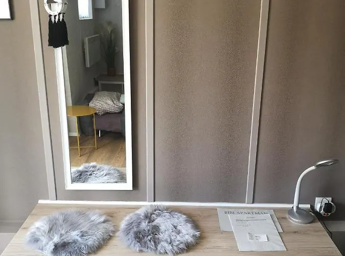 公寓 Bibi Apartman 巴拉顿菲赖德